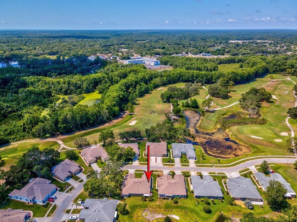 11634 Holly Ann Dr, New Port Richey FL 34654-1732 exterior