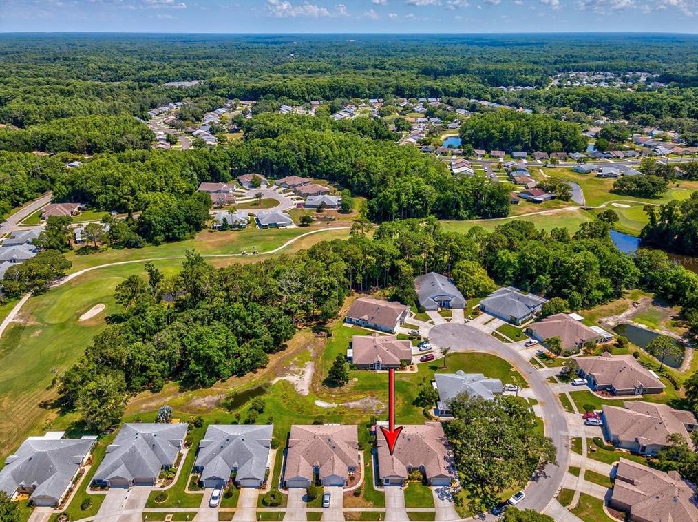 11634 Holly Ann Dr, New Port Richey FL 34654-1732 exterior