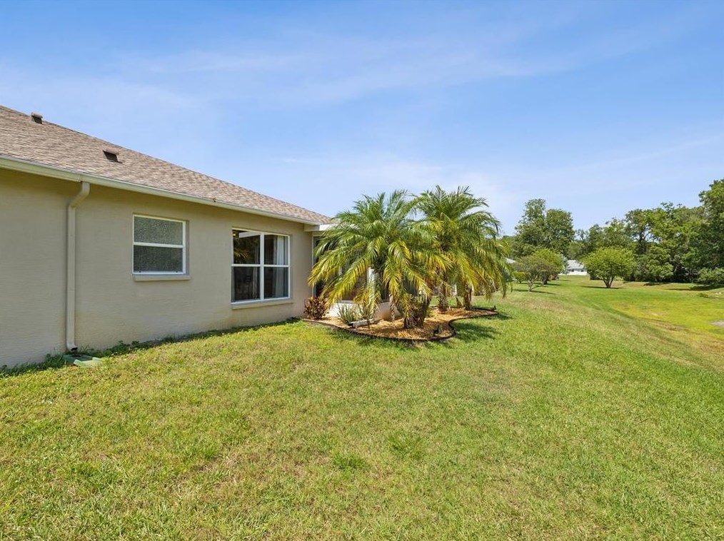 11634 Holly Ann Dr, New Port Richey FL 34654-1732 exterior