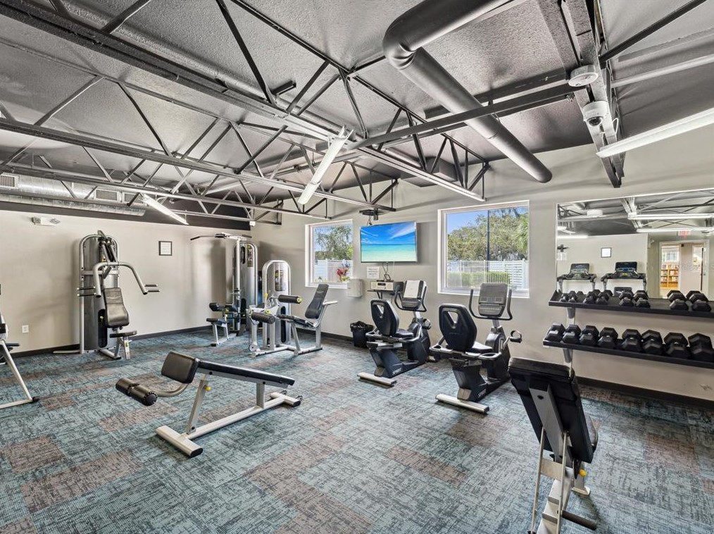 11634 Holly Ann Dr, New Port Richey FL 34654-1732 exterior