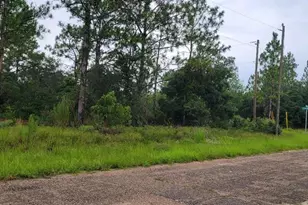 6567 N Clarion Terrace, Citrus Springs, FL 34433 - Photo 1