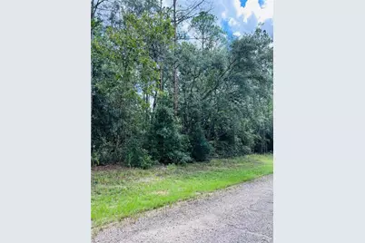 8681 N Wallingford Avenue, Citrus Springs, FL 34434 - Photo 5