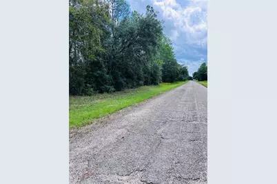 8681 N Wallingford Avenue, Citrus Springs, FL 34434 - Photo 3