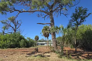 6313 Oelsner St, New Port Richey, FL 34652 - Photo 1