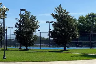 21118 Passive Porch Dr, Land O Lakes, FL 34637 - Photo 33