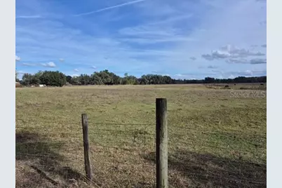 0 Cr 755, Webster, FL 33597 - Photo 3
