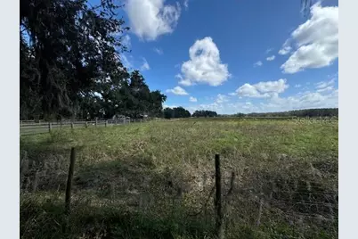0 Cr 755, Webster, FL 33597 - Photo 5