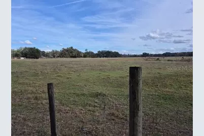 0 Cr 755, Webster, FL 33597 - Photo 5