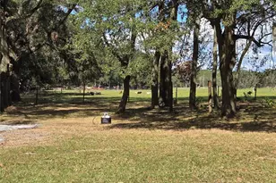 18151 Bosley Dr, Spring Hill, FL 34610 - Photo 19