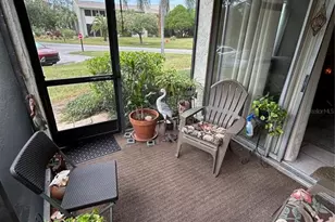 427 Windrush Bay Dr, Tarpon Springs, FL 34689 - Photo 25