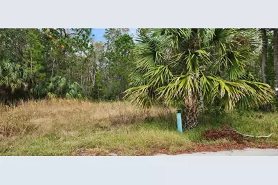 Lot 285 Cutlass Drive, Hudson, FL 34667 - Photo 3