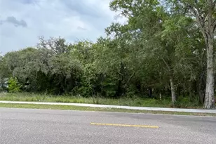 12120 Hicks Rd, Hudson, FL 34669 - Photo 1