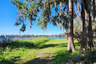 14328 Chisholm Ln, Odessa, FL 33556 - Photo 7