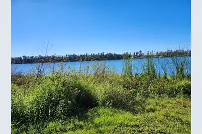 14328 Chisholm Lane, Odessa, FL 33556 - Photo 35