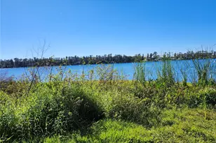 14328 Chisholm Ln, Odessa, FL 33556 - Photo 35