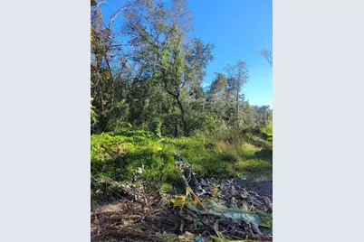 Morena Street #5, New Port Richey, FL 34654 - Photo 7