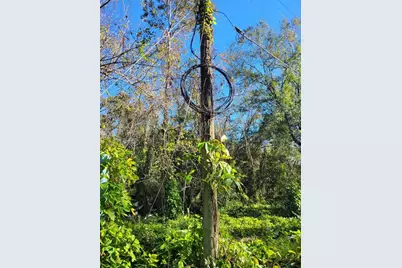 Morena Street #5, New Port Richey, FL 34654 - Photo 5