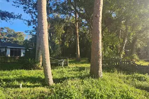 7222 N Ola Ave, Tampa, FL 33604 - Photo 59