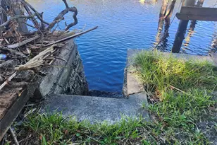 7222 N Ola Ave, Tampa, FL 33604 - Photo 67