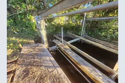 7222 N Ola Avenue, Tampa, FL 33604 - Photo 35