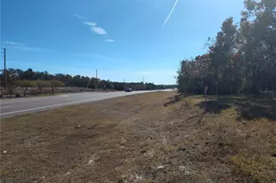 15125 Little Rd, Hudson, FL 34667 - Photo 1