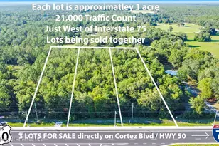 Cortez Blvd, Brooksville, FL 34602 - Photo 1