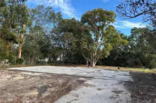 11411 Sagamore St, Spring Hill, FL 34609 - Photo 1