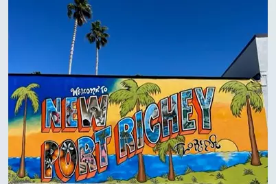 5742 Meadowlane Street, New Port Richey, FL 34652 - Photo 49