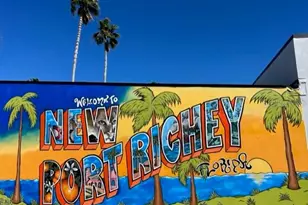 5742 Meadowlane St, New Port Richey, FL 34652 - Photo 49