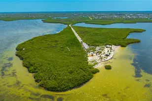 5742 Meadowlane St, New Port Richey, FL 34652 - Photo 69