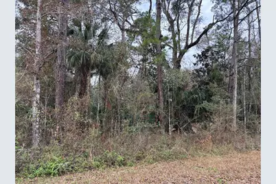 Lot 3 Carolina Dove Road, Weeki Wachee, FL 34614 - Photo 3