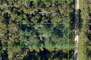 Lot 3 Carolina Dove Rd, Weeki Wachee, FL 34614 - Photo 1
