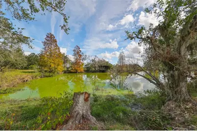 15624 Carlton Lake Road, Wimauma, FL 33598 - Photo 63