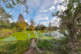 15624 Carlton Lake Rd, Wimauma, FL 33598 - Photo 63