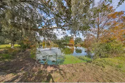 15624 Carlton Lake Road, Wimauma, FL 33598 - Photo 61