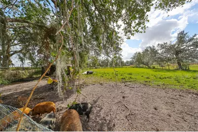 15624 Carlton Lake Road, Wimauma, FL 33598 - Photo 73