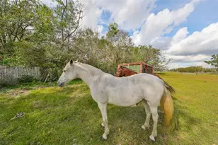 15624 Carlton Lake Rd, Wimauma, FL 33598 - Photo 57