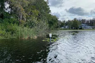 11743 Purdue St, New Port Richey, FL 34654 - Photo 17