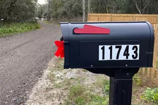 11743 Purdue St, New Port Richey, FL 34654 - Photo 3