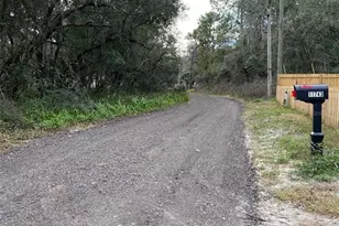 11743 Purdue St, New Port Richey, FL 34654 - Photo 5