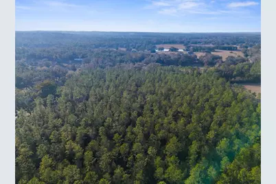 100 Spring Lake Highway, Brooksville, FL 34601 - Photo 7