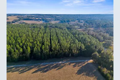 100 Spring Lake Highway, Brooksville, FL 34601 - Photo 9
