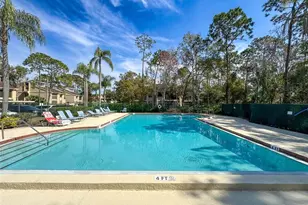 1203 Clays Trail, Oldsmar, FL 34677 - Photo 47