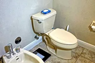 6801 Dali Ave, Land O Lakes, FL 34637 - Photo 33