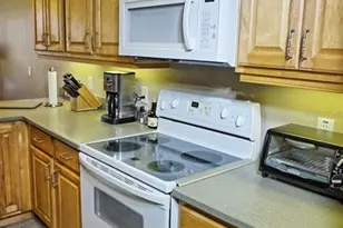 6801 Dali Ave, Land O Lakes, FL 34637 - Photo 13