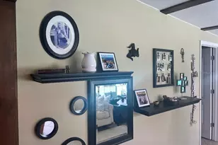 1624 Seabreeze Dr, Tarpon Springs, FL 34689 - Photo 19