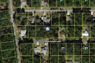 1645 W Datura Ln, Citrus Springs, FL 34434 - Photo 1