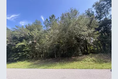 1645 W Datura Lane, Citrus Springs, FL 34434 - Photo 5