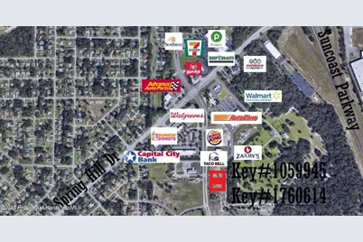 00 Anderson Snow Road, Spring Hill, FL 34609 - Photo 1