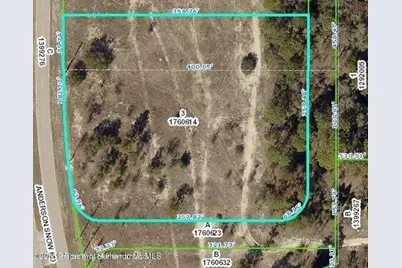 00 Anderson Snow Road, Spring Hill, FL 34609 - Photo 3